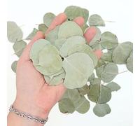 120 Feuilles d'eucalyptus séché pétales naturel couleur vert sauge - Décoration de table végétale champêtre naturelle biodégradable - Confettis de mariage (Eucalyptus Vert sauge)
