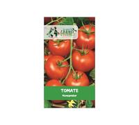 120 graines de tomate money maker, variété ancienne très productive, fruit rouge lisse et uniforme