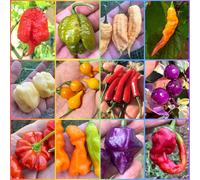 120 graines des 12 piments les plus curieux et bizarres du monde, collection FANTASY + Guide de culture : 7 POD PREMIER, SCORPION, HABANERO, VIAGRANATURAL, PURPLE OVNI, PSYCO PEARL, EROTICOPEPPER, etc