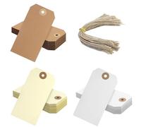 120 Pcs Etiquettes d'expédition vierges avec ficelle Etiquettes à suspendre en papier cardstock avec œillet renforcé Grandes étiquettes de marquage Etiquettes de prix(6 x 12Cm)