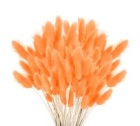 120 PCS Herbe de la Pampas Séchée, Fleurs Séchées Bouquet Décoration, Fleurs Pampas Herbe Plantes Fluffy , Boho Home Decor Arrangements Floraux (Orange)