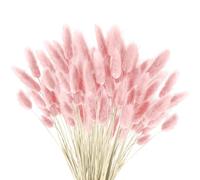 120 PCS Pampa séchée, Fleurs séchées Pampa Plante Fleurs séchées moelleuses, bohème décoration intérieure Arrangement Floral (Rose)