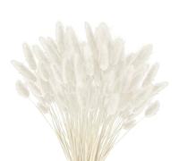 120 PCS Pampa séchée, Fleurs séchées Pampa Plante Fleurs séchées moelleuses, bohème décoration intérieure Arrangement Floral (Blanc)