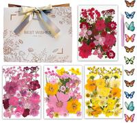 120 X Natural Pressed Dried Flowers For Resin Crafts,Dry Pressed Flowers Kit With Gift Pouches For Resin Moulds,Diy,Decorations.