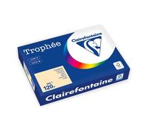 [1203PC] Clairefontaine Ramette Papier FSC A4 120g 250 Feuilles CHAMOIS