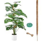 Tuteur Plante Grimpante, 120cm Plante Tuteur Coco Support pour Plantes Grimpantes, Bâton de Noix de Coco pour Plantes, Support de Plante Tuteur de Coco, Bâtons de Plantes Grimpantes