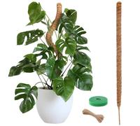 120cm Tuteur Plante Grimpantes avec Velcro, Ficelle, Tuteur Monstera pour Maison Jardin, Tuteur Sphaigne Coco Pliable, Tuteurde Plante Extension, Support Plantes Qui Poussent Vers Haut, Poteaux Mousse