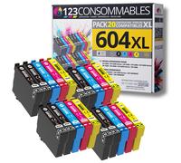 123CONSOMMABLES - 604XL - Pack 20 Cartouches Encre Compatible avec Epson 604 XL pour Epson XP 2200 XP-3200 XP-4200, Workforce WF-2910 WF-2930 WF-2935 WF-2950 (8 Noir / 4 Cyan / 4 Magenta / 4 Jaune)