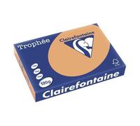 Papier Imprimante - Clairefontaine TROPHEE - Caramel - A4 - 120 g/m² - 250 Feuilles