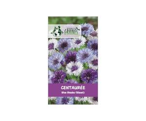 125 graines de centaurée des champs 'blue shades' (bleuet) - fleur sauvage aux nuances de bleu profond - annuelle mellifère pour bouquets