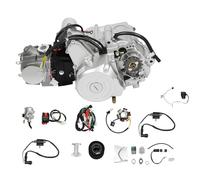 125cc 4 Temps Moteur, Moteur semi-automatique avec Câblage, Carburateur, Filtre à air, Carter de Chaîne pour Dirt Bike Pit Bike Cross