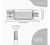 128GB USB C Flash Drive,USB 2.0 OTG Type C 2 in 1 Flash Drive USB Pen Drive Portable Memory Stick USB Flash Drive for Smartphones/Tablet/PC etc-Silver