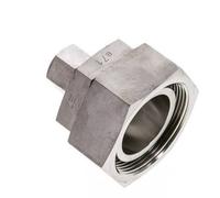 12L & 42L Acier inoxydable Raccord de coupe droit avec pivot 160 bar FKM O-ring Cône d'etancheite ISO 8434-1