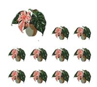 12PCS Embroidered Patches Pack Plant Embroidery Leaf Flower Pot Red Patch Sticker Clothes Set Of Ironing(Color 5)