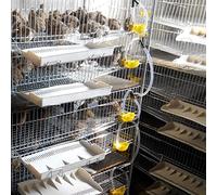 12pcs Pigeons Tobe à Boisson Mangeoire de caille.