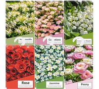 12PCS Sachet Parfumé Armoire Sent Bon Maison, Sachets Lavande Placards Parfum Voiture, Sachet Armoire Parfumé, Parfum Ambiance Maison Parfum d'intérieur, Desodorisant Vetement Armoire (Multi)