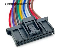 12pin Female 1 Pc With 15cm 18awg Fil De Prise De Boîtier En Plastique Delphi, Connecteur Électronique Fci De Voiture Sfp Avec Câble, 211pc122s0017, 12 Broches "Nipseyteko