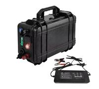 12V 200Ah 2560Wh Batterie Lithium-Fer-Phosphate Système De Gestion De Batterie Bluetooth Batterie pour Moteur De Bateau De Pêche + Chargeur