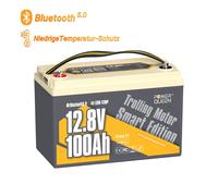 12V/24V 100Ah 200Ah 300Ah Batterie Lithium Bluetooth Batterie LiFePO4 Pur Marine