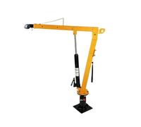 12V 24V 220V grue mobile de camion de 1 tonne petite grue de potence pour le levage d'utilisation à la maison de véhicule(TRL-20T-SET)