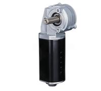 12V DC Worm Gear Reducer Motor DC Worm Gear Motor Reducer Motor Forward and Reverse Power Failure Self-Locking Motor