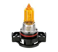 12V Lampe Halogène - PSY24W - 24W - PG20-4 - 1 Pièces - D / Blister - Orange