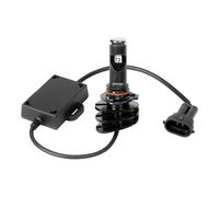 12V Ledriving Brouillard Lampe - (H10) - PY20D - 2 Pièces - Boîte OSRAM