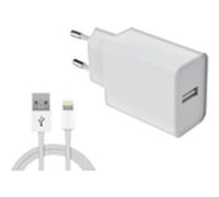 12w usb-a charger 1m lightning cable