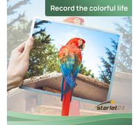 12x 526XL Cartouches d'encre Ccompatibles pour Canon CLI-526 526C 526M 526Y pour MG-5140 MG-5150 MG-5250 MG-5350 MG-6150 MG-6250 MG-8150 MG-8250 MX-715 MX-815 MX-815 MX-895(NO Noir Inclus)