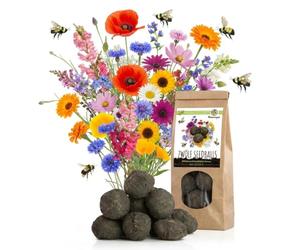 12x Bombes de graines pour un pâturage coloré pour les abeilles - Graines de fleurs sauvages colorées & riches en nectar pour les abeilles et les papillons