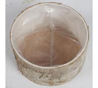 12x Cache-pot Tige de Bouleau Fleurs Plantes Jardin Terrasse Déco Ménage habiter