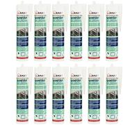 12x dubaust SAS24 Premium Silicone sanitaire élastique résistant à l'humidité durable résistant aux moisissures Salle de bain Cuisine Douche Pièces humides Cartouche de 310ml (transparent)