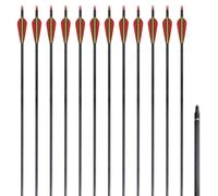 12x Flèches Standard Carbone 30" 0,76 cm pour Arc Classique Tir à l'Arc vidaXL