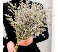 13/26 pièces Bouquet de fleurs artificielles Fleurs séchées Caspia Lavande Gypsophile Arrangement de fleurs artificielles, Convient pour la décoration de mariage, la couronne, la décoration de table d