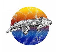 13 cm x 11.1 cm pour Axolotl coloré décalcomanie réfrigérateur moto voiture autocollants Windows dessin animé personnalité