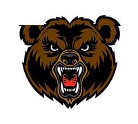 13 cm x 12,2 cm pour féroce ours rugissement voiture autocollant voiture camion décalcomanie pare-chocs fenêtre