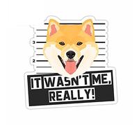 13 cm x 12,9 cm pour ce n'était pas moi vraiment Shiba Inu voiture autocollants pare-chocs VAN