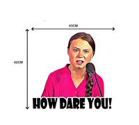 13 cm x 42,1 cm pour Greta Thunberg Comment osez-vous Graphics Auto Autocollants de voiture Auto