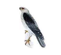 13 cm x 8.7 cm pour Cientifica Oiseau Autocollant De Voiture Créativite Réfrigérateur Décalque Étanche Occlusion Scratch