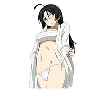 13 cm x 9.3 cm 3D Autocollants De Voiture Oreimo Gokou Ruri Kuroneko Anime JDM Vinyle De Voiture