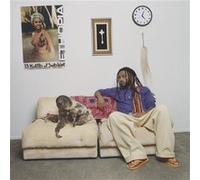 Aminé – 13 Months of Sunshine – Vinyle violet – Gatefold