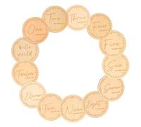 13 Pièces Cartes Étape Bébé Rondes, Lot de Souvenirs Naissance | Surface Lisse Kaki, Accessoires Photo pour Suivre la Croissance, Présent Adorable pour Garçon et Filles et Familles
