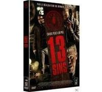 13 SINS-FR G