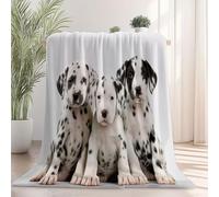 130 x 150 cm Couverture Polaire Super Douce - Jeté de Canapé Motif Minimaliste Moderne Chiot, Couverture Double Face Sherpa Extra Épaisse et Chaude pour Canapé ou Salon Blanc