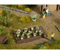 Noch 13220 - Chou-rave, 3 cm x 6 cm - HO (1:87)