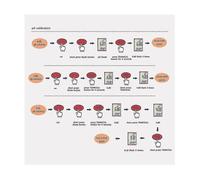 (132697) Stylo testeur multifonction 4 en 1 pour la qualité de l'eau : pH/TDS/EC/température