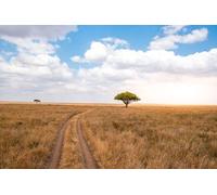 137054192 Poster 110 x 70 cm : safari sur route non pavée avec voiture de safari dans le parc national du Serengeti dans un magnifique paysage, Tanzanie, Afrique