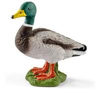 13824 Canard Orange G