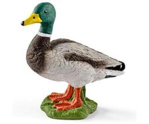 13824 Canard Orange G