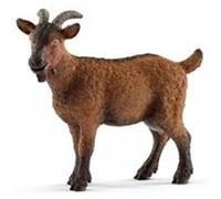 13828 Chevre animal